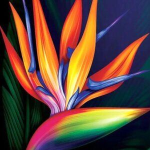 Contemporary Vibrant Tropical Botanical Bird of Paradise Canvas Art Print New